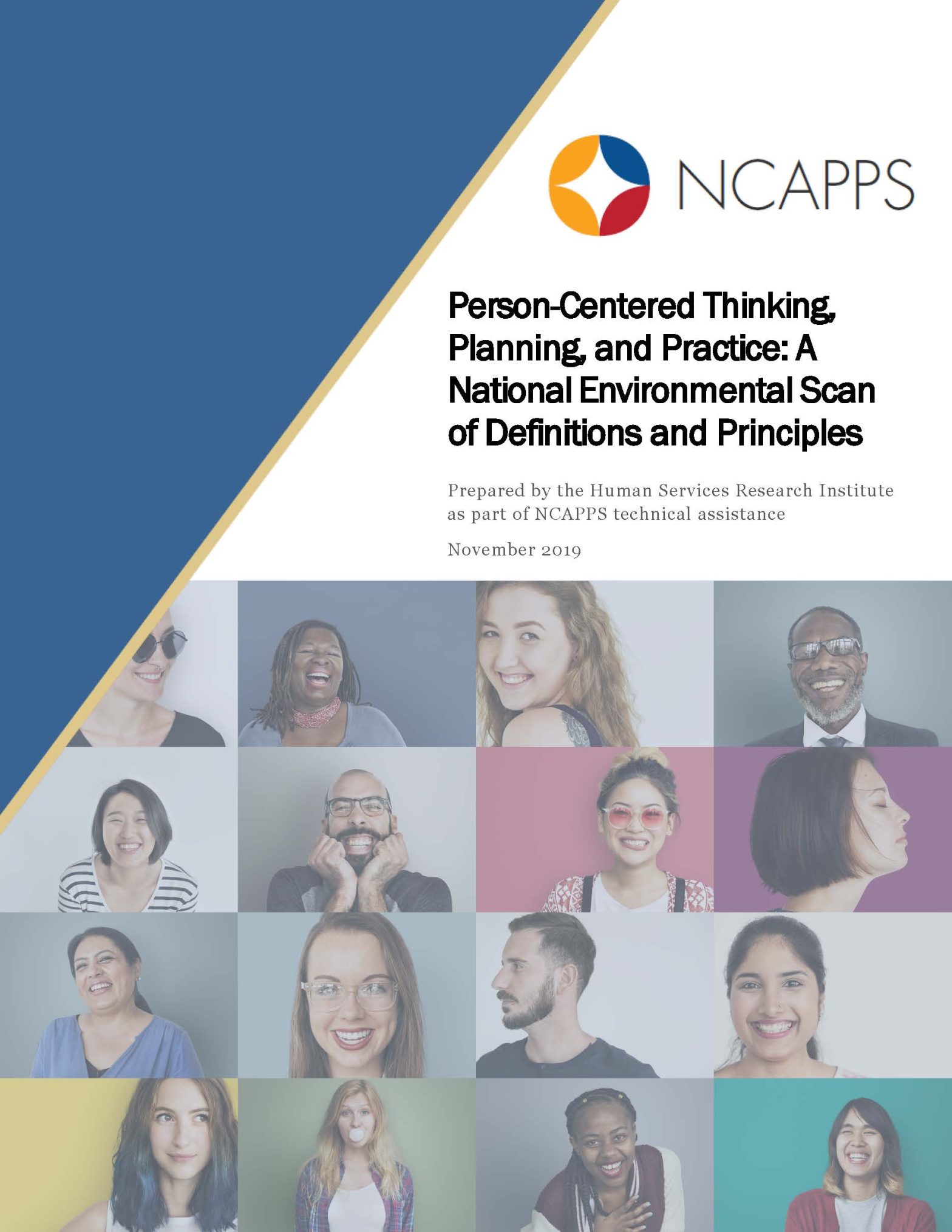 NCAPPS_Principles_NationalEnvironmentalScan Cover