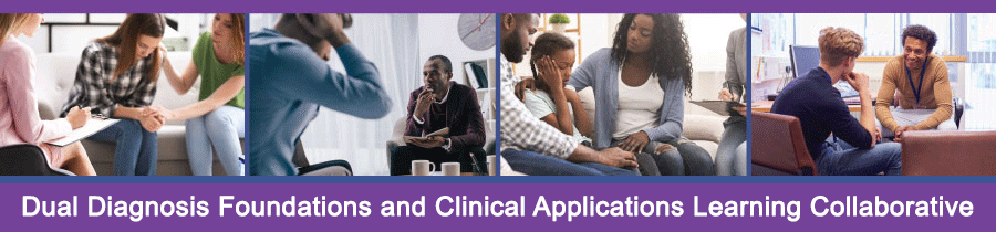 Dual Diagnosis Foundations and Clinical Applications Learning Collaborative