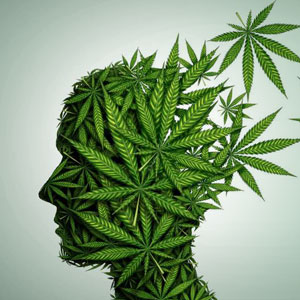 silhouette of human head composed by cannabis leafs 