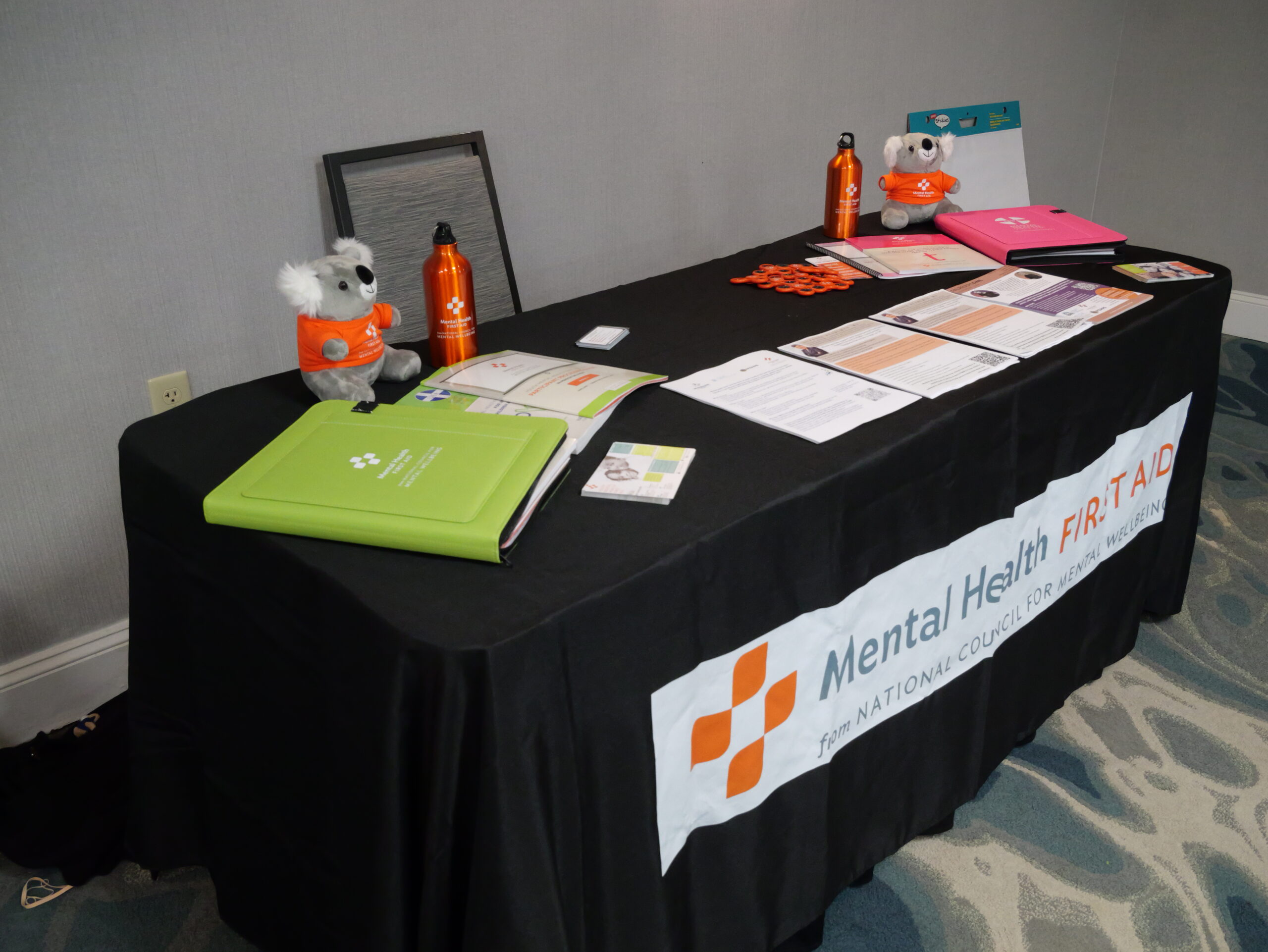 NC Mental Health First Aid